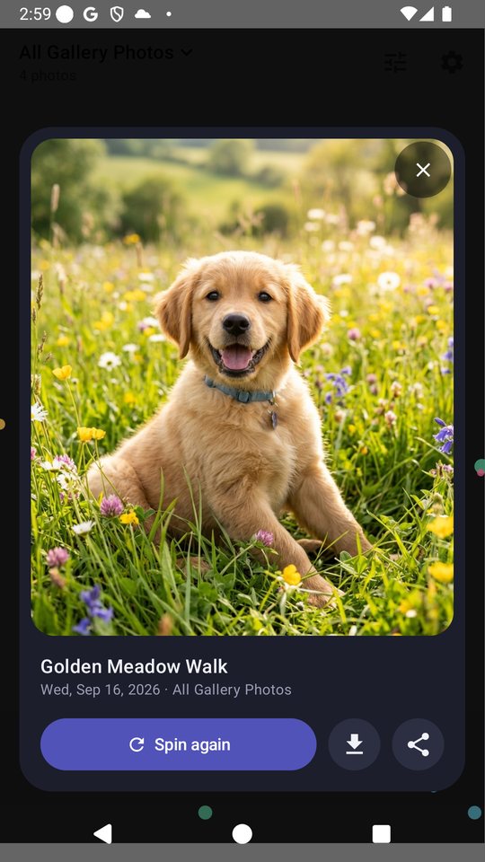 The winning photo with spin again, save and share buttons